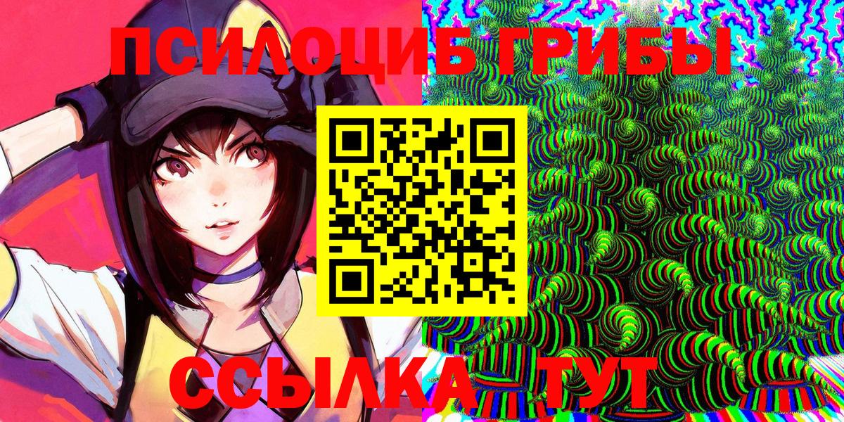 Галлюциногенные грибы MAGIC MUSHROOMS  Вход с VPN  Гатчина 